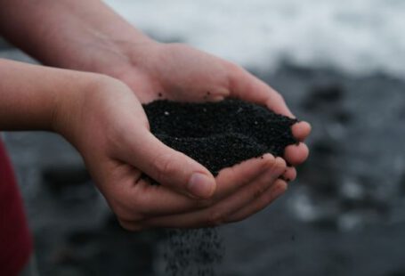 Compost - person holding black soil