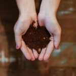 Compost - top view of woman's hands with soil