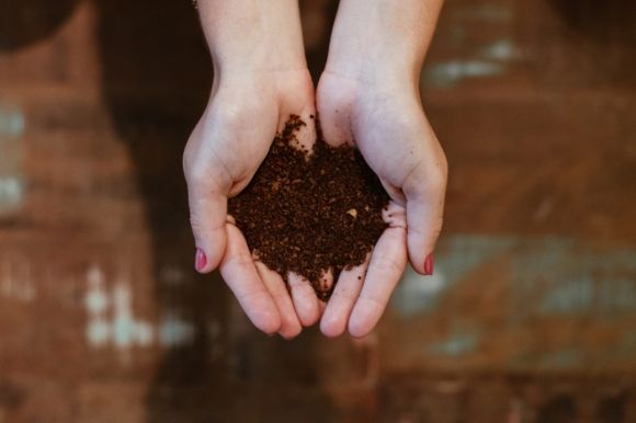 Compost - top view of woman's hands with soil