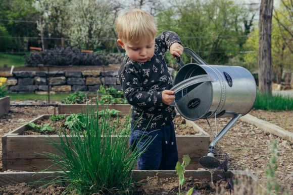 Gardening - boy in black and white long sleeve shirt standing beside gray metal watering can during daytime
