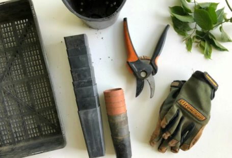 Gardening Tools - black pruning shears beside green gloves