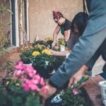 Gadening - three people planting flowers
