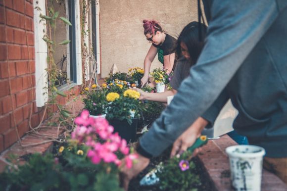 Gadening - three people planting flowers