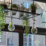 Garden Decor - two clear glass hanging plants