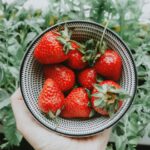 Garden Fruit - strawberries on stainless steel bowl