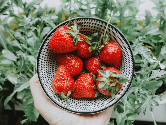 Garden Fruit - strawberries on stainless steel bowl