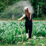 Watering Garden - woman in black long sleeve shirt and black pants standing on green grass field during daytime