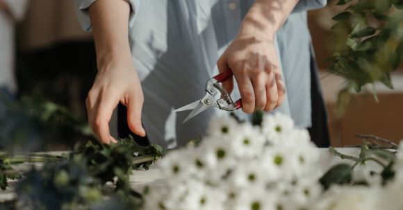 Pruning - Person in White Dress Shirt Holding Silver and Red Scissors