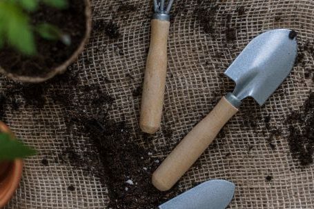Organic Gardening - Top View Photo of Gardening Tools